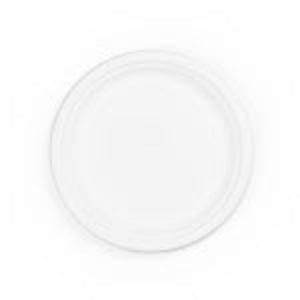 30 x Compostable Plates